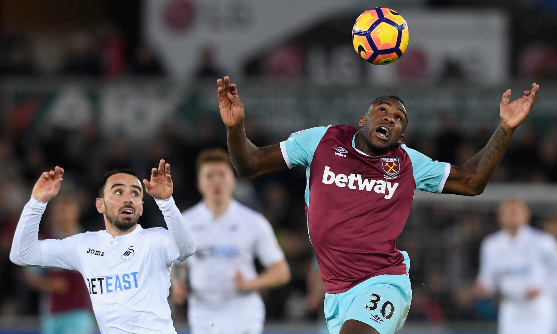 排的绿色优 排的绿色优